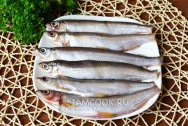 Ряпушка: как готовить в домашних условиях блюда из рыбы, фото рыбы