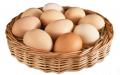 Jajčna dilema.  Domače ali kupljeno?  Domača in tovarniška jajca: kakšna je razlika in kaj je boljše. Kakšna je razlika med domačimi in tovarniškimi jajci