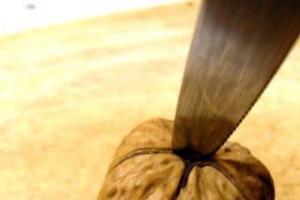 Hur och hur man snabbt skalar hasselnötter och valnötter