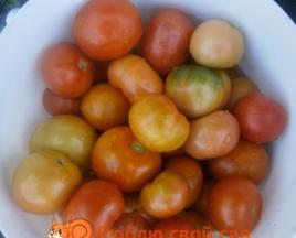Blandade tomater och gurkor för vintern: fingerslickande recept