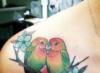 Tetovaža papige Pomen papige v različnih kulturah
