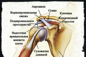 Вывих плечевого сустава — причины, симптомы и лечение