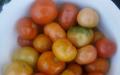 Blandade tomater och gurkor för vintern: fingerslickande recept