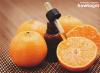 Underbar och doftande apelsinolja, dess egenskaper och appliceringsmetoder Apelsin kosmetisk olja