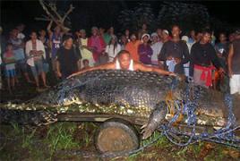 Самая большая крокодил в мире