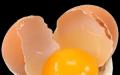 10 ägg om dagen för muskelökning